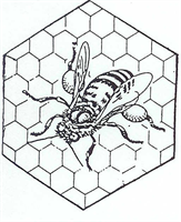 Foto für Bienenzucht Zweigverein